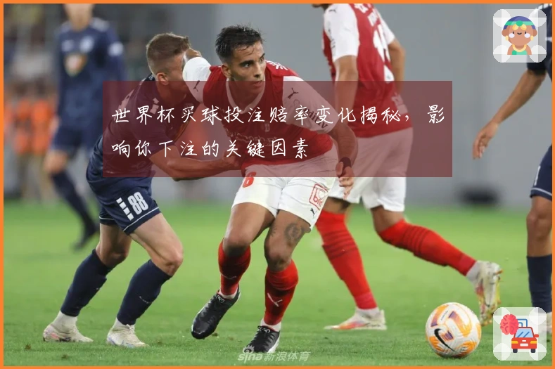 世界杯买球投注赔率变化揭秘，影响你下注的关键因素