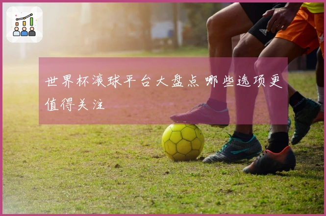 世界杯滚球平台大盘点 哪些选项更值得关注