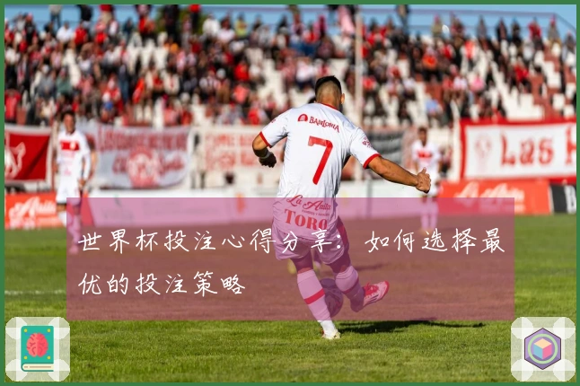 世界杯投注心得分享：如何选择最优的投注策略
