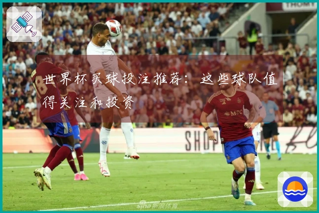 世界杯买球投注推荐：这些球队值得关注和投资