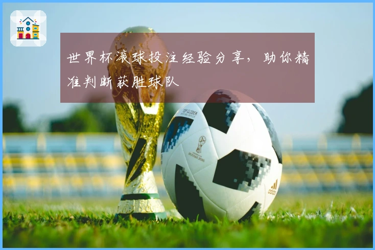 世界杯滚球投注经验分享，助你精准判断获胜球队
