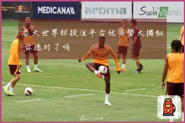 各大世界杯投注平台优劣势大揭秘 你选对了吗