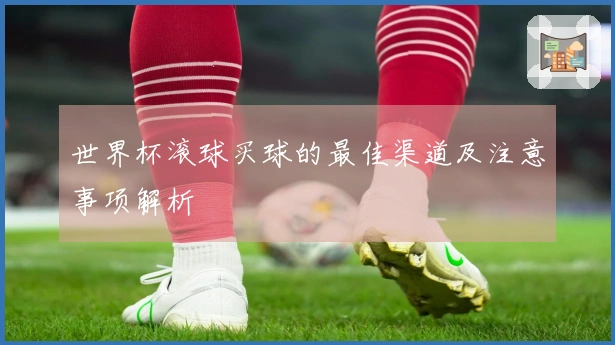 世界杯滚球买球的最佳渠道及注意事项解析