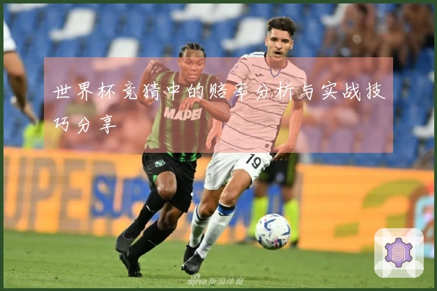 世界杯竞猜中的赔率分析与实战技巧分享