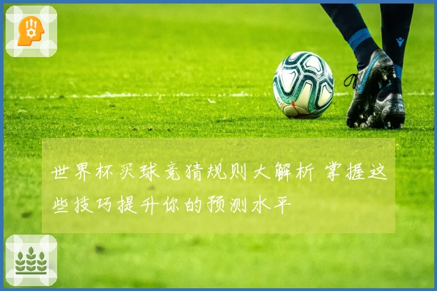 世界杯买球竞猜规则大解析 掌握这些技巧提升你的预测水平
