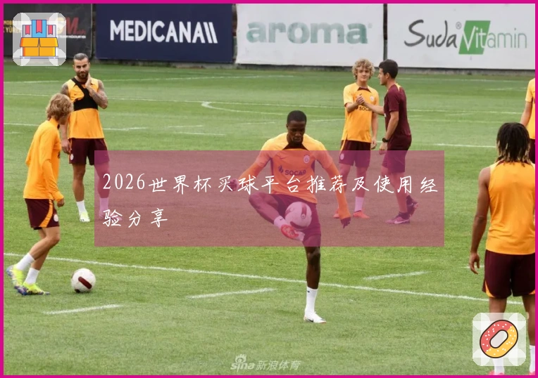 2026世界杯买球平台推荐及使用经验分享