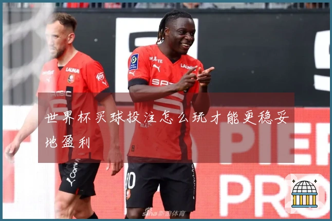 世界杯买球投注怎么玩才能更稳妥地盈利