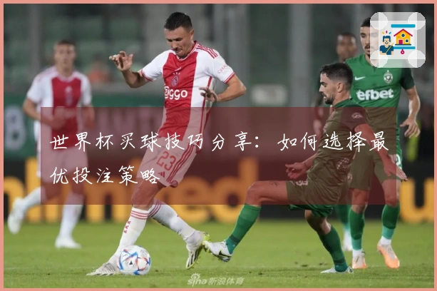 世界杯买球技巧分享：如何选择最优投注策略