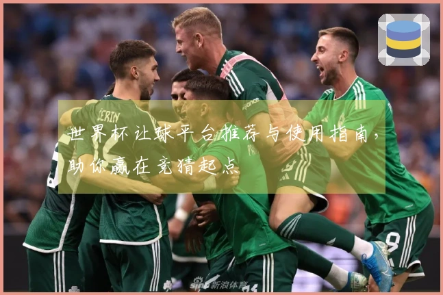 世界杯让球平台推荐与使用指南，助你赢在竞猜起点