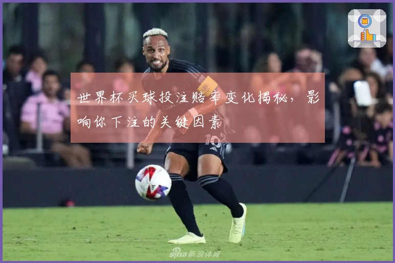 世界杯买球投注赔率变化揭秘，影响你下注的关键因素
