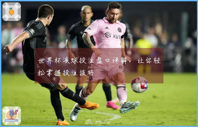 世界杯滚球投注盘口详解，让你轻松掌握投注技巧
