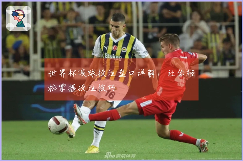 世界杯滚球投注盘口详解，让你轻松掌握投注技巧