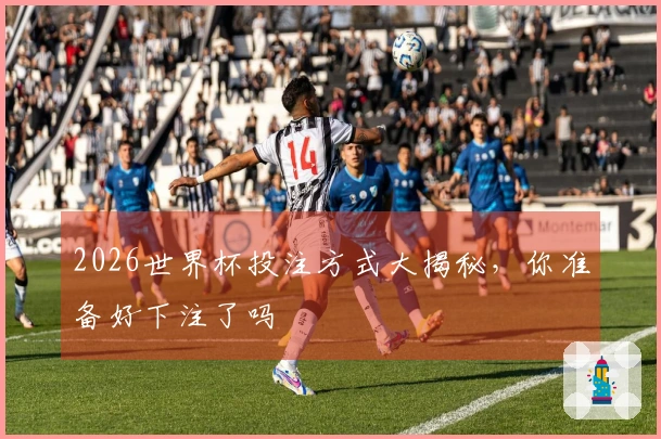 2026世界杯投注方式大揭秘，你准备好下注了吗