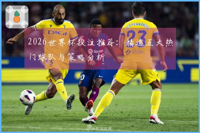 2026世界杯投注推荐：精选五大热门球队与策略分析