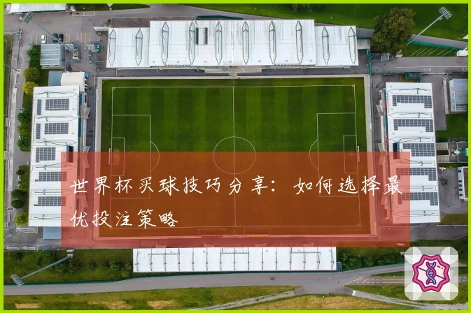 世界杯买球技巧分享：如何选择最优投注策略