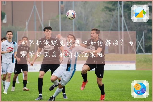 世界杯滚球竞猜盘口如何解读？专家带你深度剖析投注策略